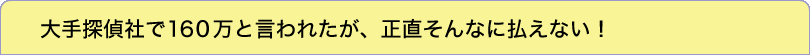 大手探偵社で１６０万と言われたが、正直そんなに払えない！