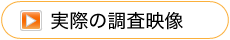 実際の調査映像