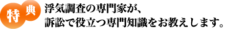 浮気調査の専門家が、訴訟で役立つ専門知識をお教えします。